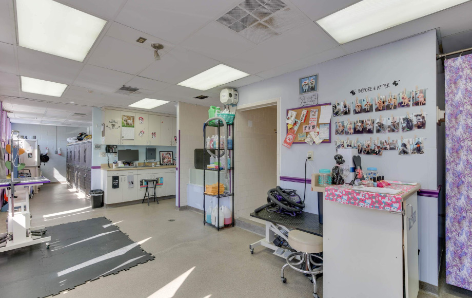 Owl Creek Veterinary Hospital Exam Area