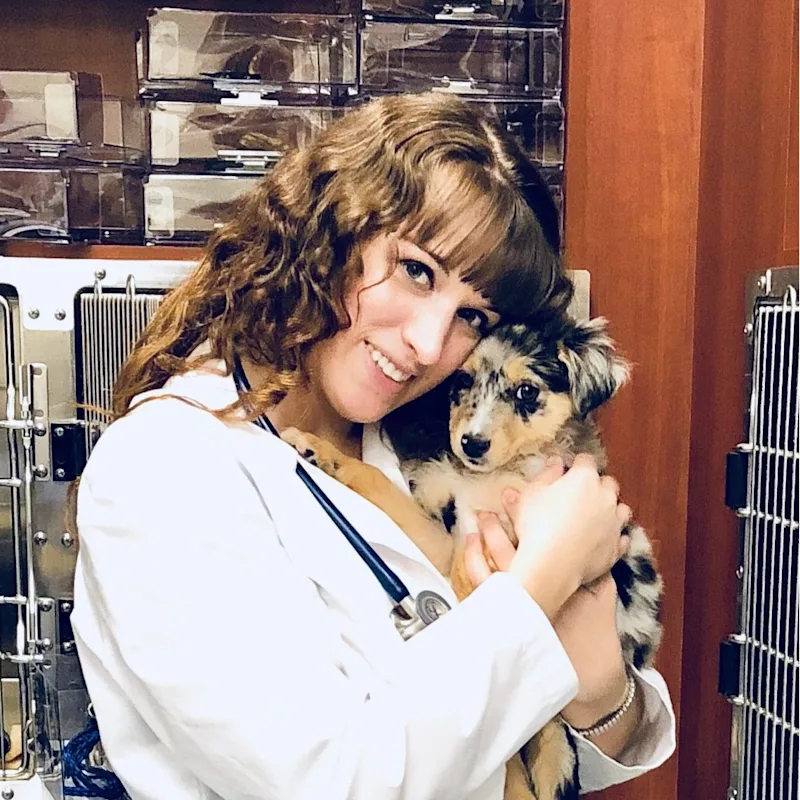 Dr. Kelsie Sheranian Dr. Kelsie Sheranian