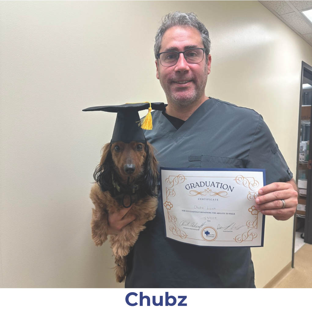 Chubz the dog with Neurology Graduate Hall of Fame certificate