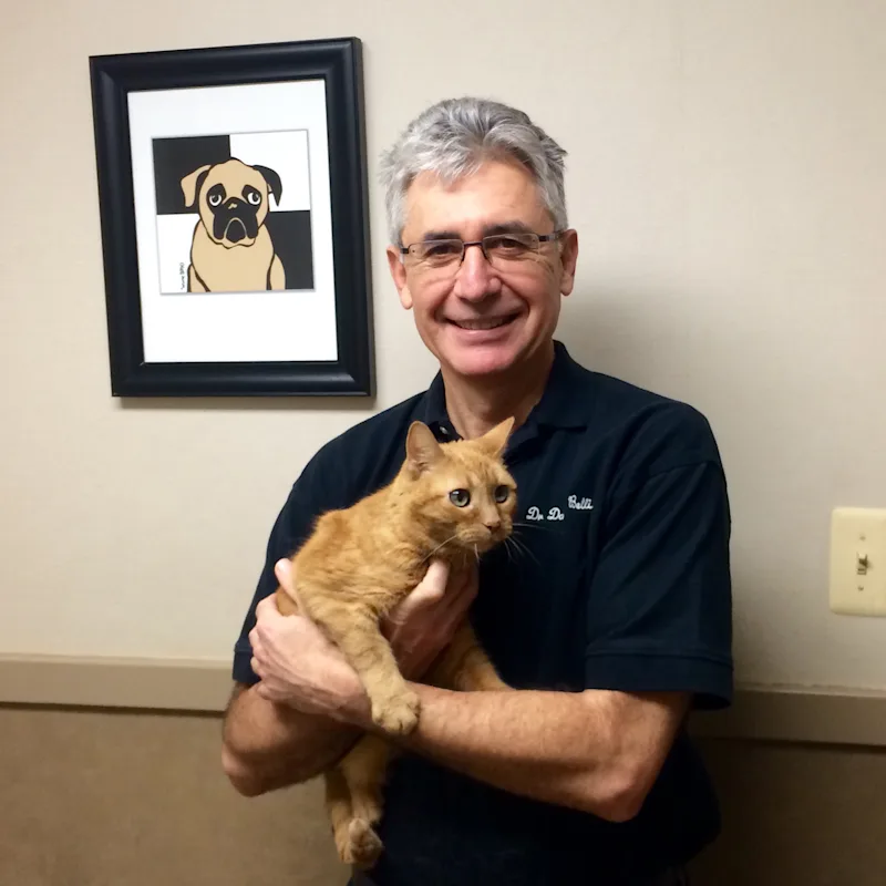 VMD Daniel Belli holding a cat VMD Daniel Belli holding a cat