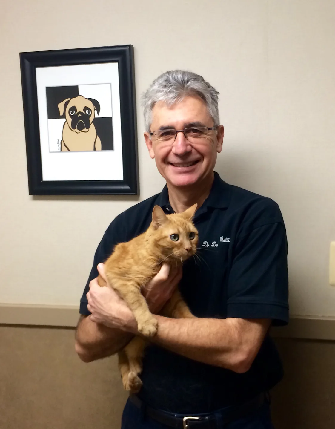 VMD Daniel Belli holding a cat VMD Daniel Belli holding a cat