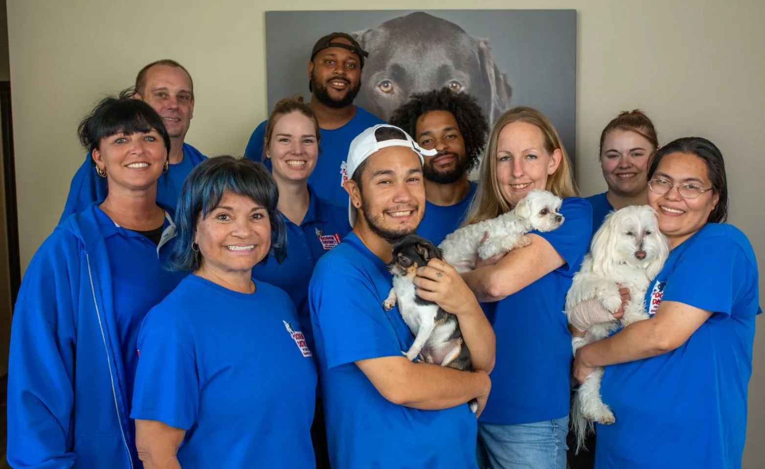 Doggie District - Craig Road - Staff Doggie District - Craig Road - Staff