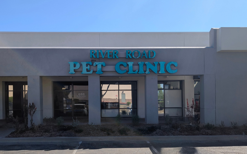 River Road Pet Clinic - Building Exterior Updated Sept. 2025