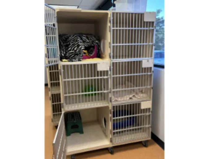 Carefree Cats Veterinary Hospital - Medium Townhome Carefree Cats Veterinary Hospital - Medium Townhome