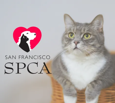San Francisco SPCA