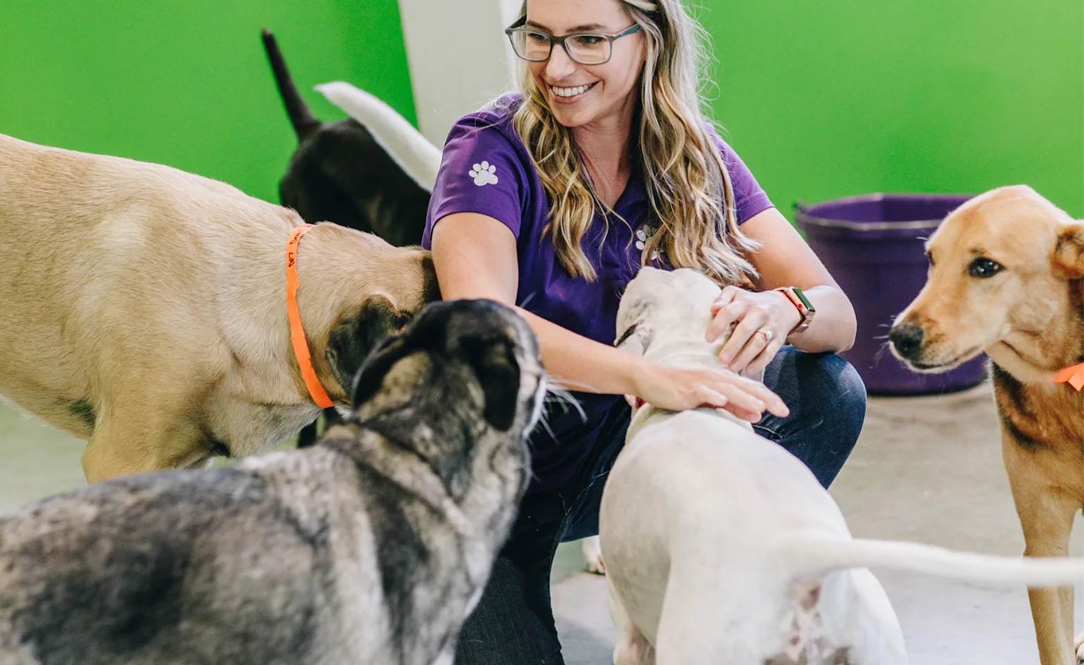 Lady playing with group of dogs smiling Lady playing with group of dogs smiling