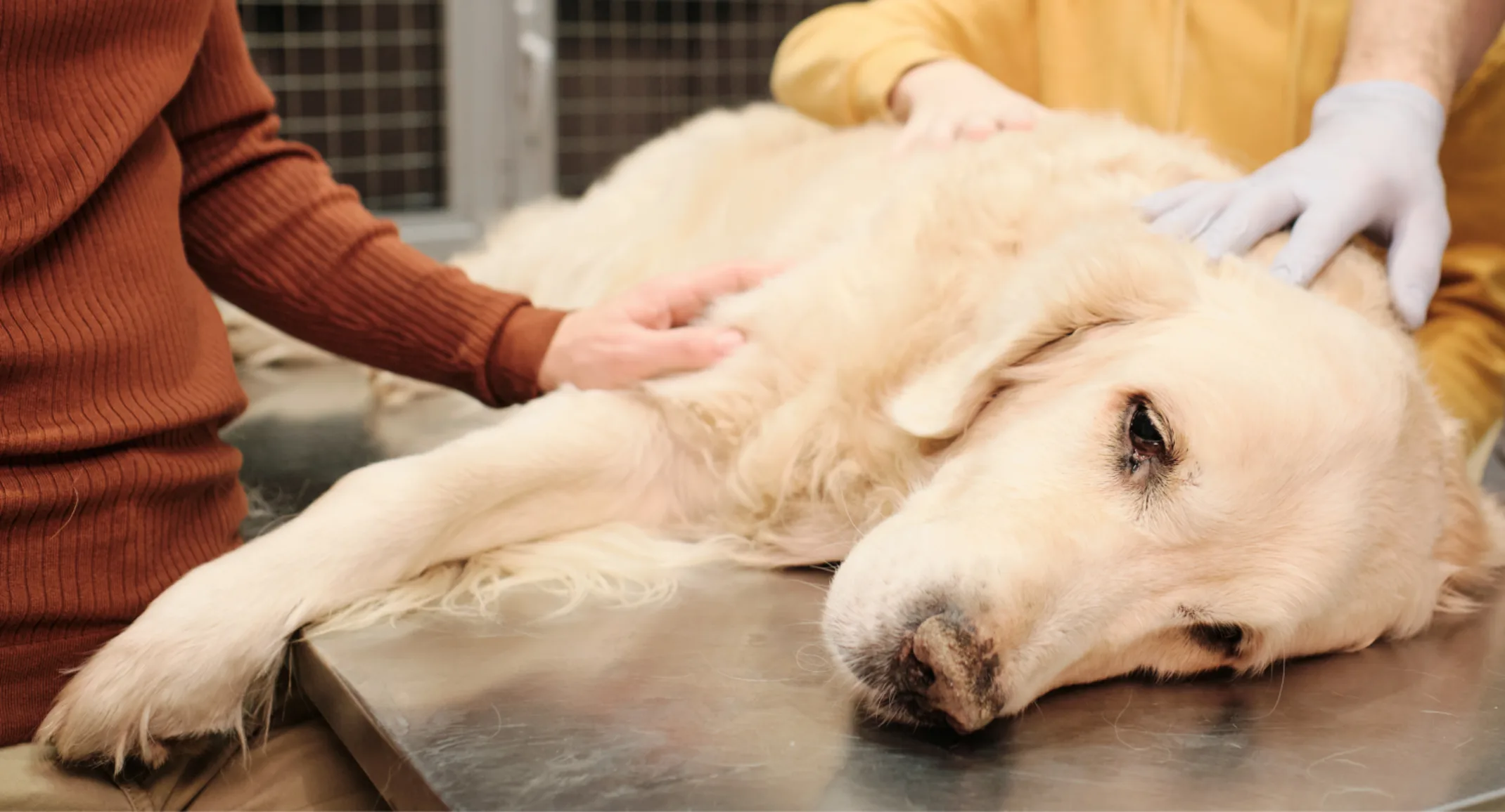 Seizure Blog Post Photo Seizure Blog Post Photo