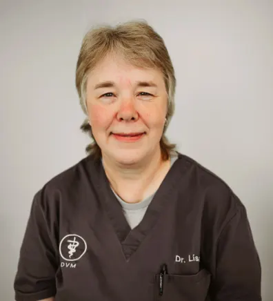 Dr. Lisa Nelson at Value Vet Dr. Lisa Nelson at Value Vet