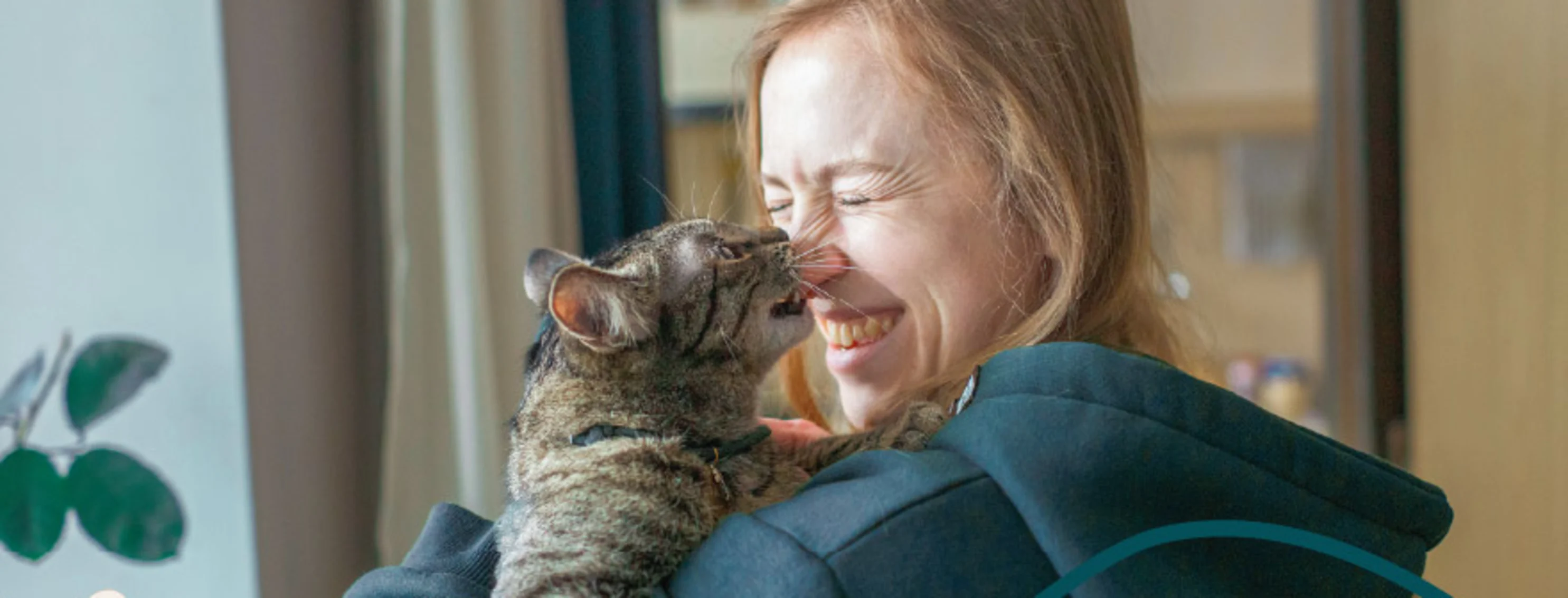 A woman holding a cat in her arms while the cat reaches up and licks the woman's nose. A woman holding a cat in her arms while the cat reaches up and licks the woman's nose.