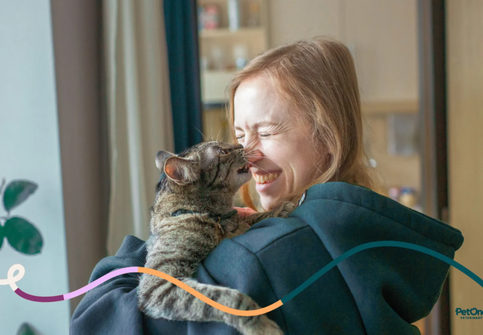 A woman holding a cat in her arms while the cat reaches up and licks the woman's nose. A woman holding a cat in her arms while the cat reaches up and licks the woman's nose.