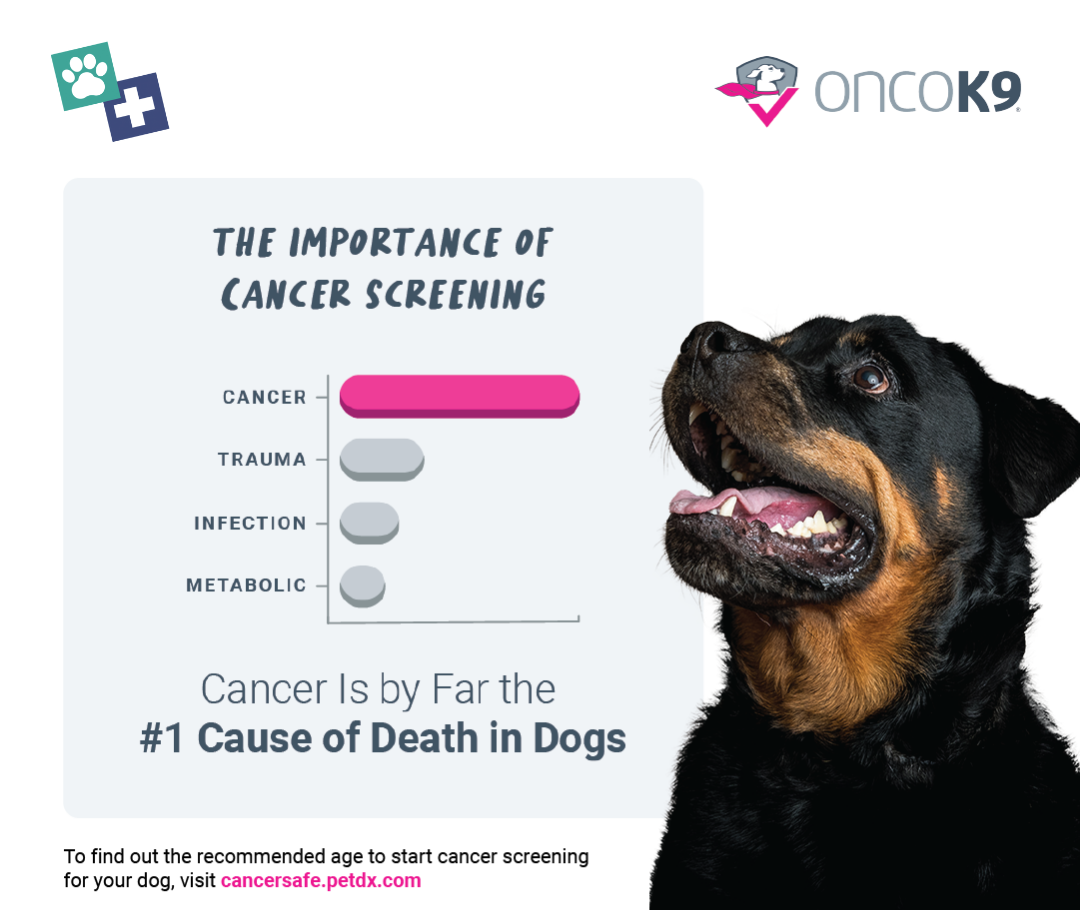 A graphic featuring a chart showing Cancer, Trauma, Infection, and Metabolic issues with the text, "The Importance of Cancer Screening - Cancer is by far the #1 cause of death in dogs". There is a dog to the right of the chart looking up.