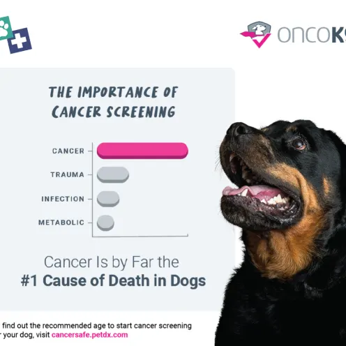 A graphic featuring a chart showing Cancer, Trauma, Infection, and Metabolic issues with the text, "The Importance of Cancer Screening - Cancer is by far the #1 cause of death in dogs". There is a dog to the right of the chart looking up.
