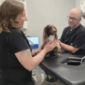 Cardiology at Animal Emergency & Specialty Hospital Byron Center & Grand Rapids Cardiology at Animal Emergency & Specialty Hospital Byron Center & Grand Rapids