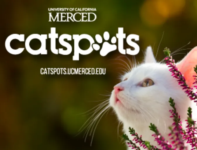 CatSpots of the University of Merced 