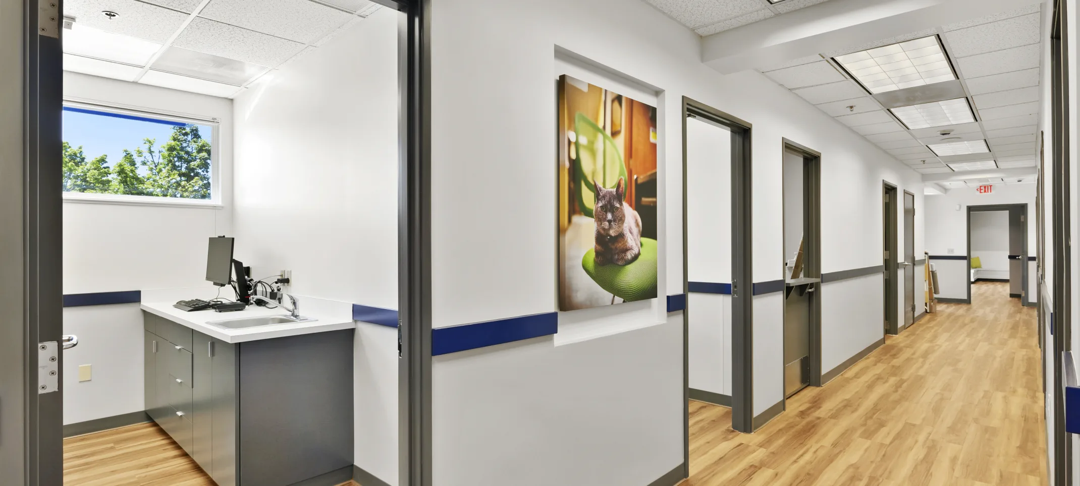 A Hallway at Tigard Animal Hospital