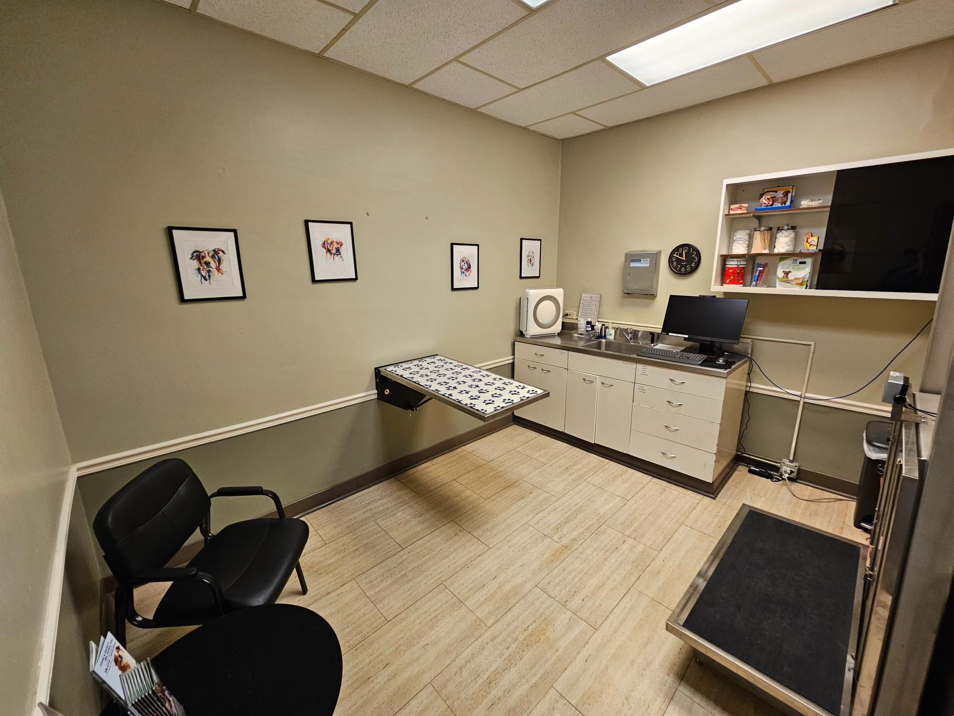 Bramer Animal Hospital Exam Room