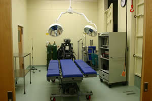 The Pulse oximetry, EKG monitoring, a respiratory ventilator, and sevoflurane gas all act to ensure patient safety.