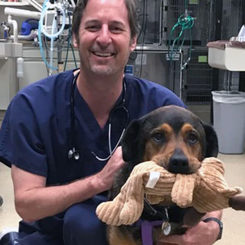 Lola with Dr. Hughes Lola with Dr. Hughes