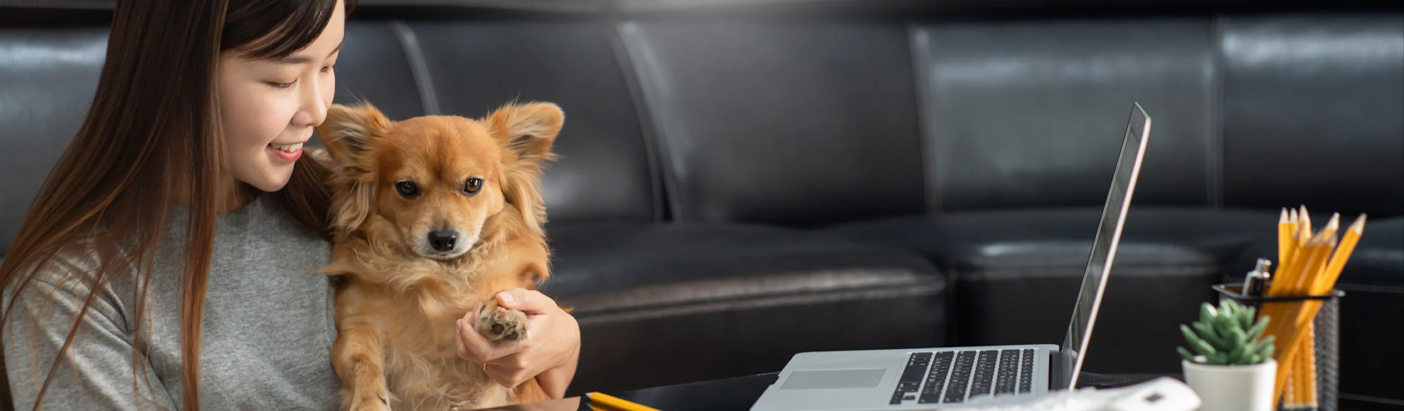 Woman with a laptop and dog Woman with a laptop and dog