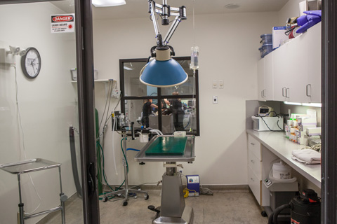 White Pine Veterinary Hospital Surgical Table