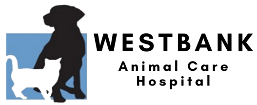 West Kelowna Veterinary Clinic | Westbank Animal Care Hospital