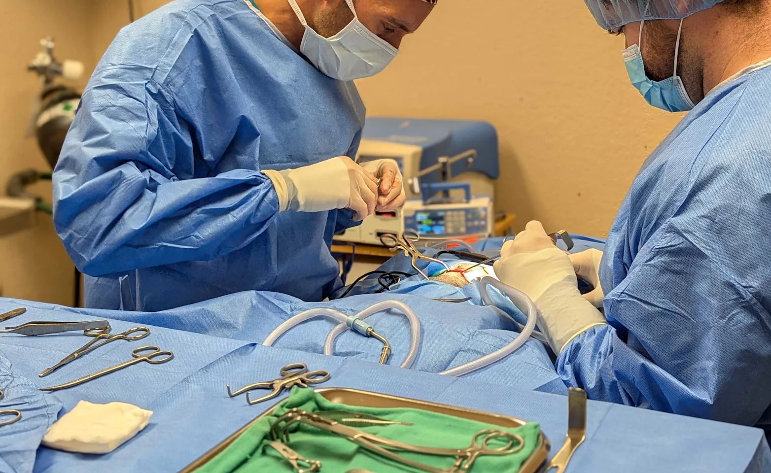 Soft Tissue Surgery Photo Soft Tissue Surgery Photo