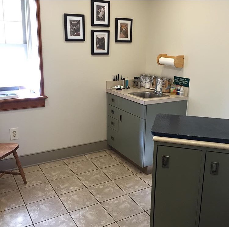Creature Comforts Veterinary Hospital Cat Room