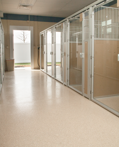 Hawthorne Park Animal Care Center Dog Boarding