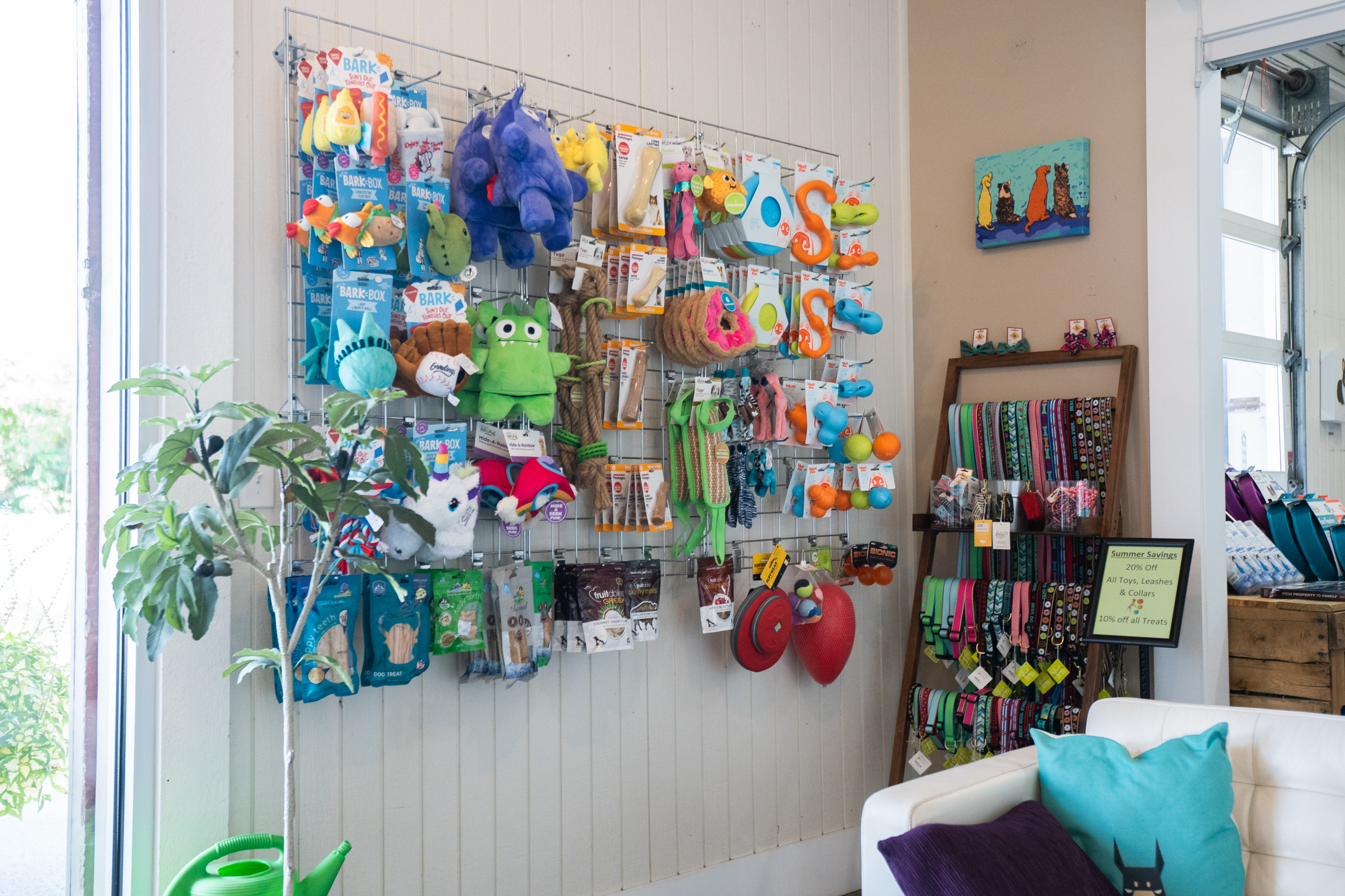 Breed Above Lobby Pet Toys