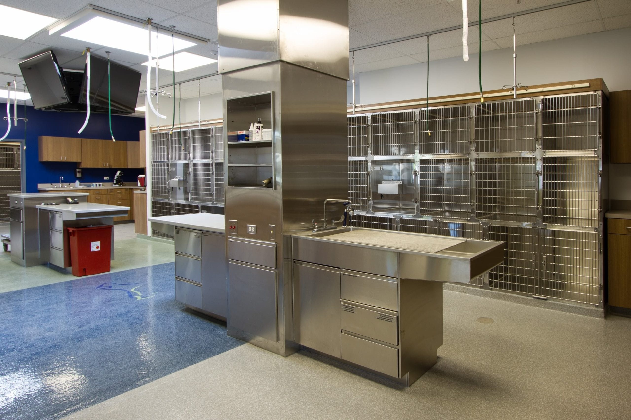 back exam area with wall of kennels