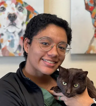 Annastasia Annastasia