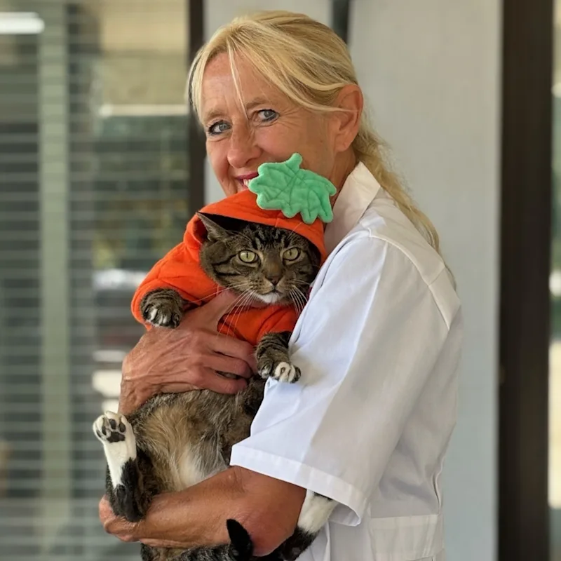 Dr. Cynthia Jasniecki Dr. Cynthia Jasniecki