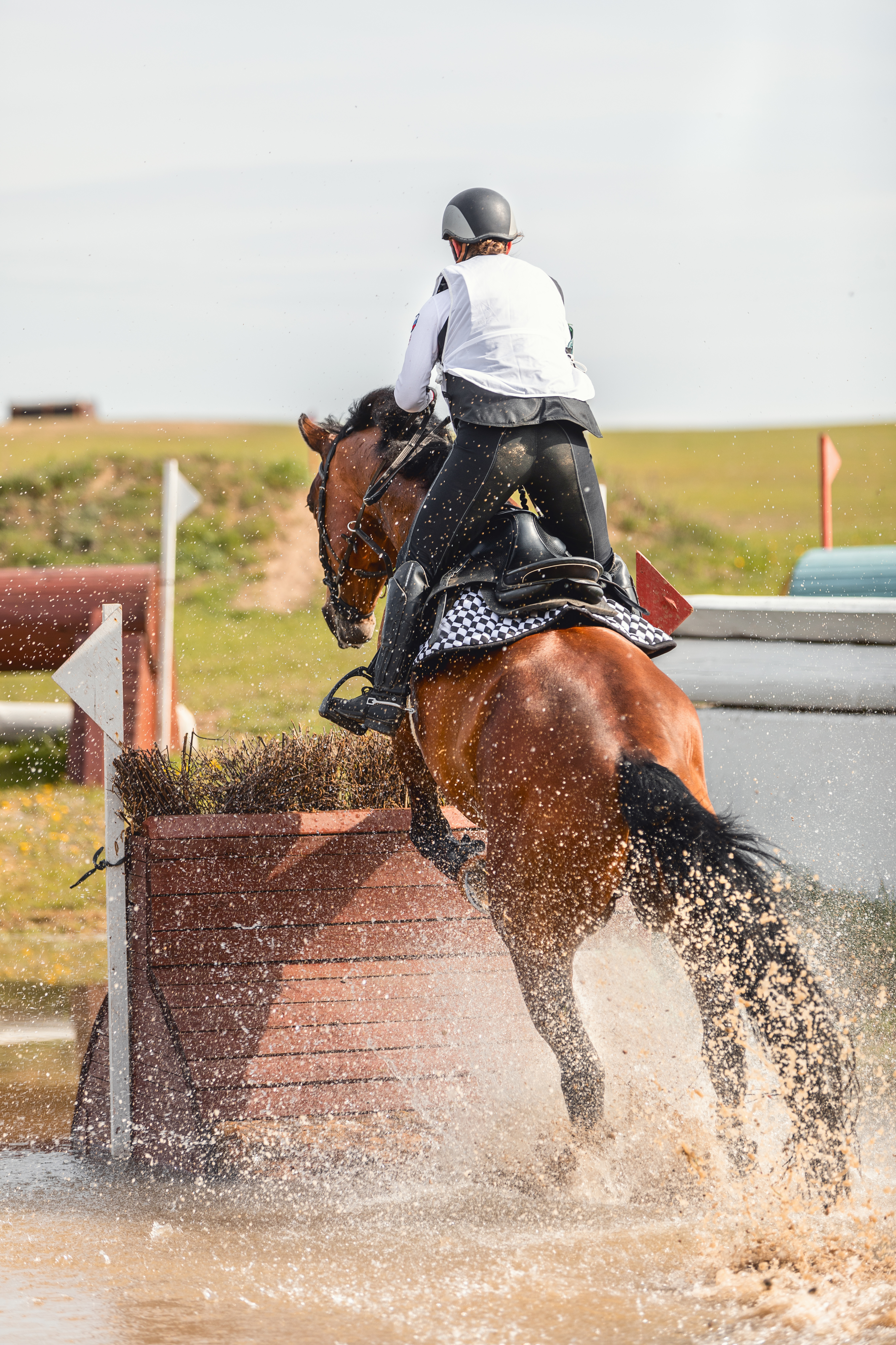 Equine athlete jumping over hurdle with horse
