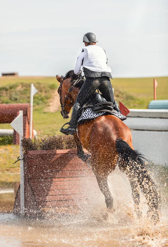 Equine athlete jumping over hurdle with horse Equine athlete jumping over hurdle with horse