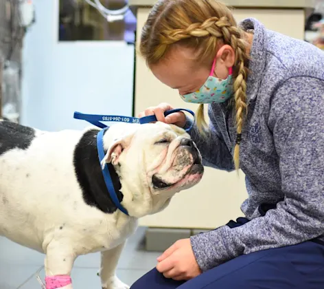 Blonde woman petting dog at Animal Medical Center of Hattiesburg. Blonde woman petting dog at Animal Medical Center of Hattiesburg.