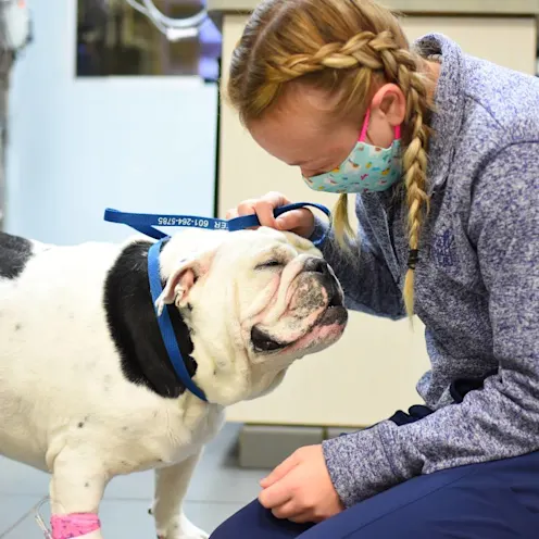 Blonde woman petting dog at Animal Medical Center of Hattiesburg. Blonde woman petting dog at Animal Medical Center of Hattiesburg.