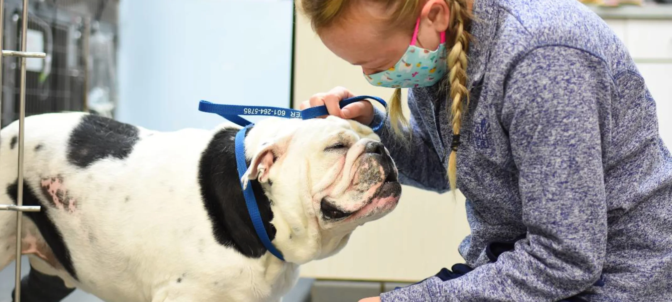 Blonde woman petting dog at Animal Medical Center of Hattiesburg.