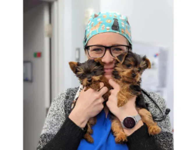 Veterinary staff at Valley Veterinary Hospital holding a small dog Veterinary staff at Valley Veterinary Hospital holding a small dog