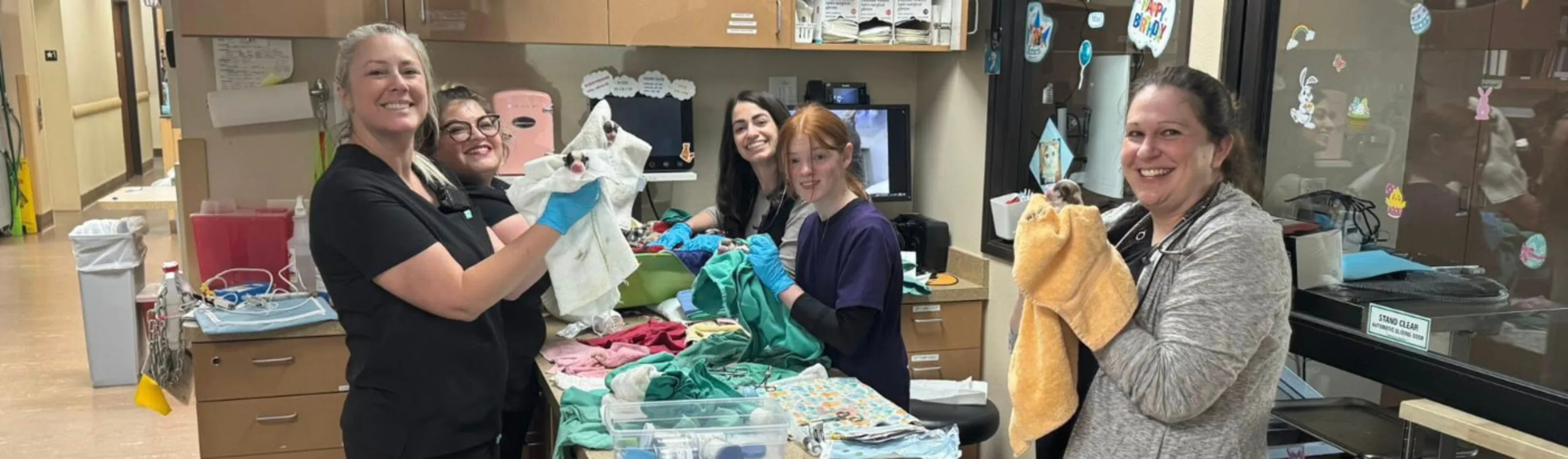 Staff members holding puppies Staff members holding puppies