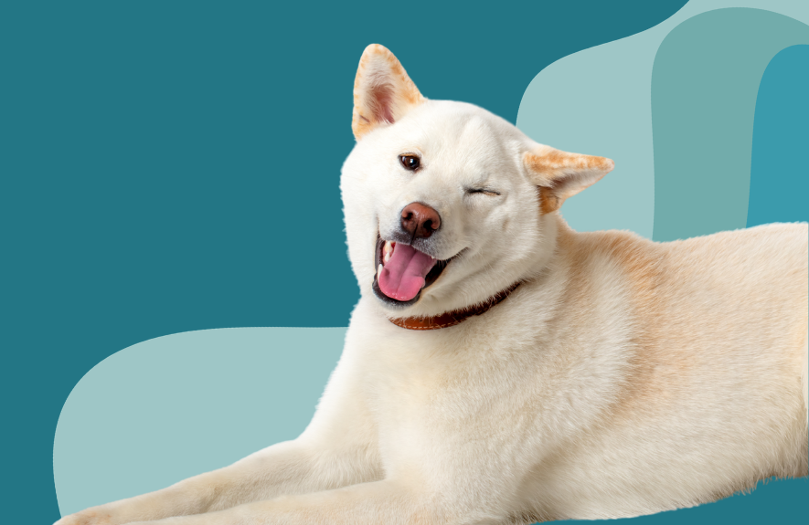 Clinical Trial: When a Wink Is More Than a Blink!