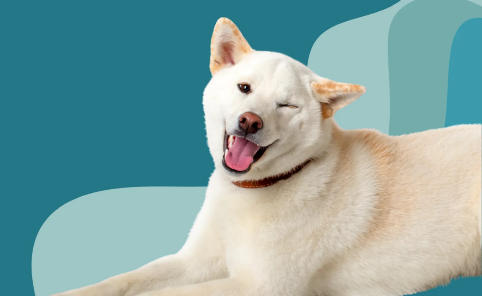 Clinical Trial: When a Wink Is More Than a Blink! Clinical Trial: When a Wink Is More Than a Blink!