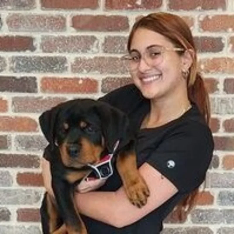Jesmarie Lopez holding a Rottweiler puppy Jesmarie Lopez holding a Rottweiler puppy