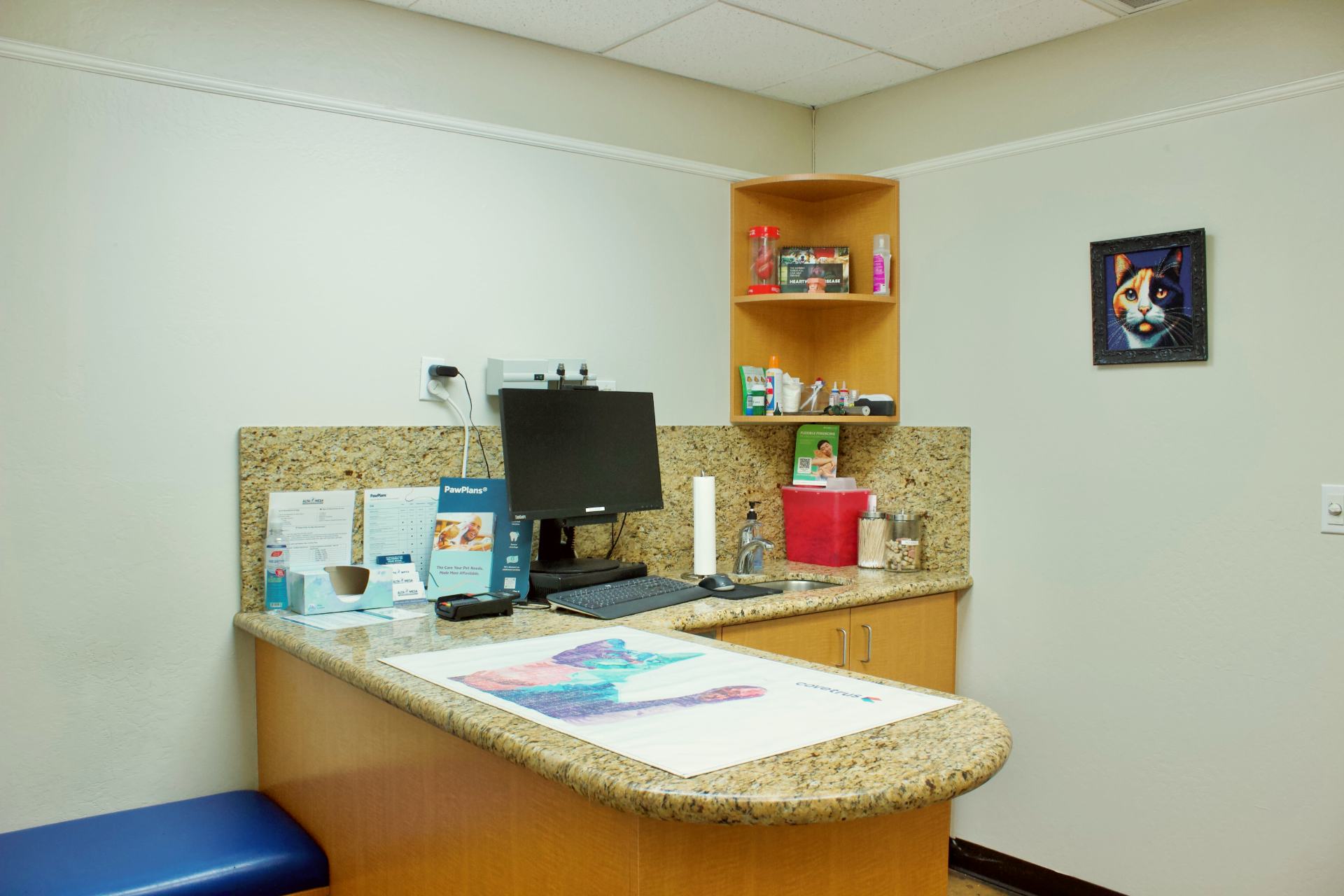 Cat Examination Room