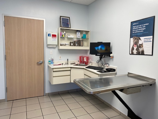 View of an exam room at Bay Glen Animal Hospital