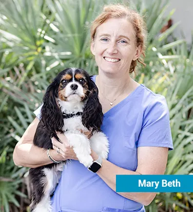 Staff member with dog Staff member with dog