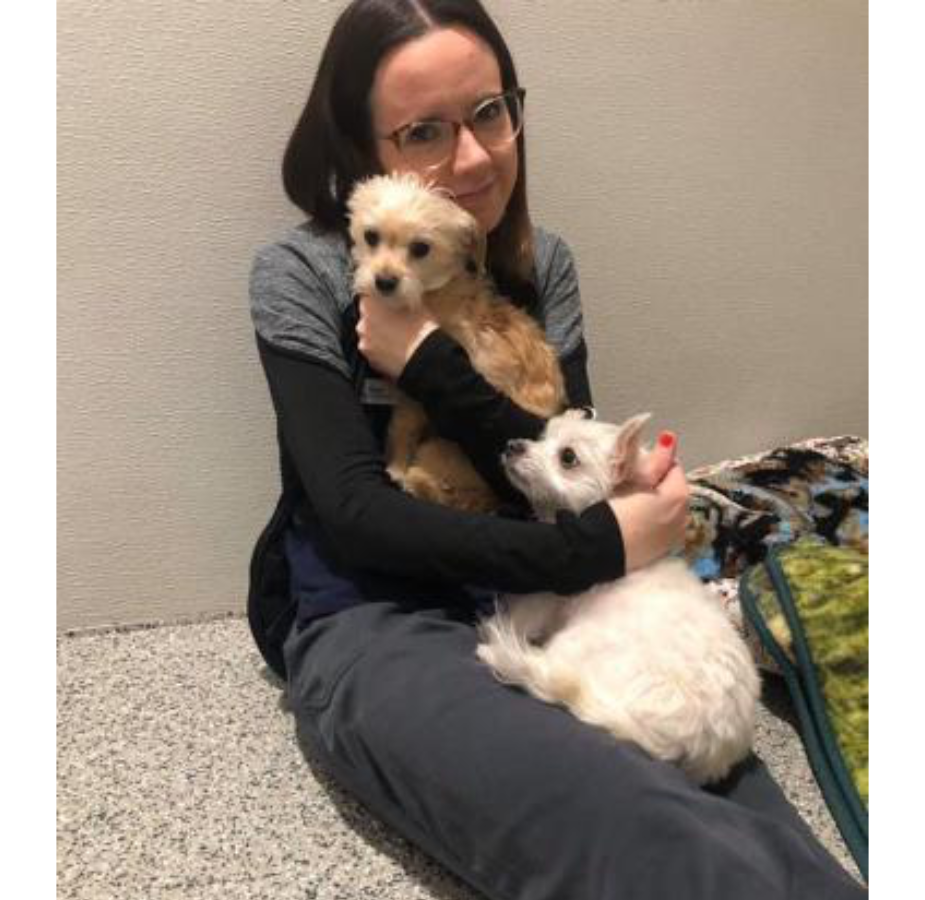 Staff member sitting and holding two dogs
