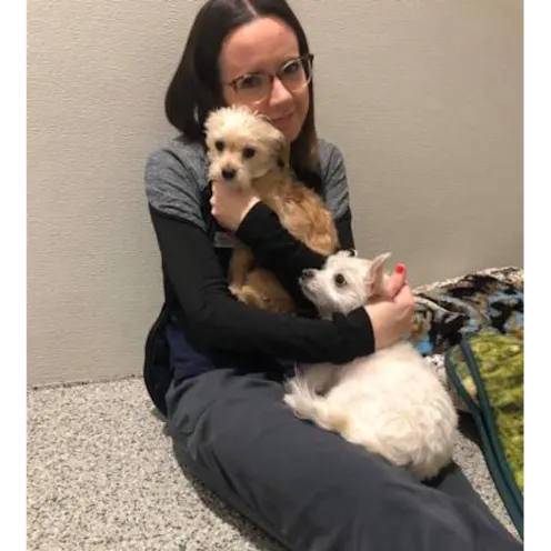Staff member sitting and holding two dogs Staff member sitting and holding two dogs