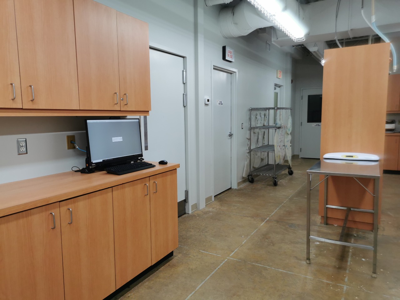 Upstairs Xray Room and Surgery Workstation at Abbotsford Animal Hospital