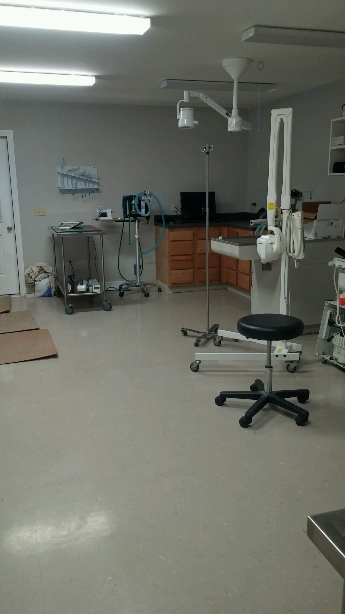 Waterville Veterinary Clinic Surgery