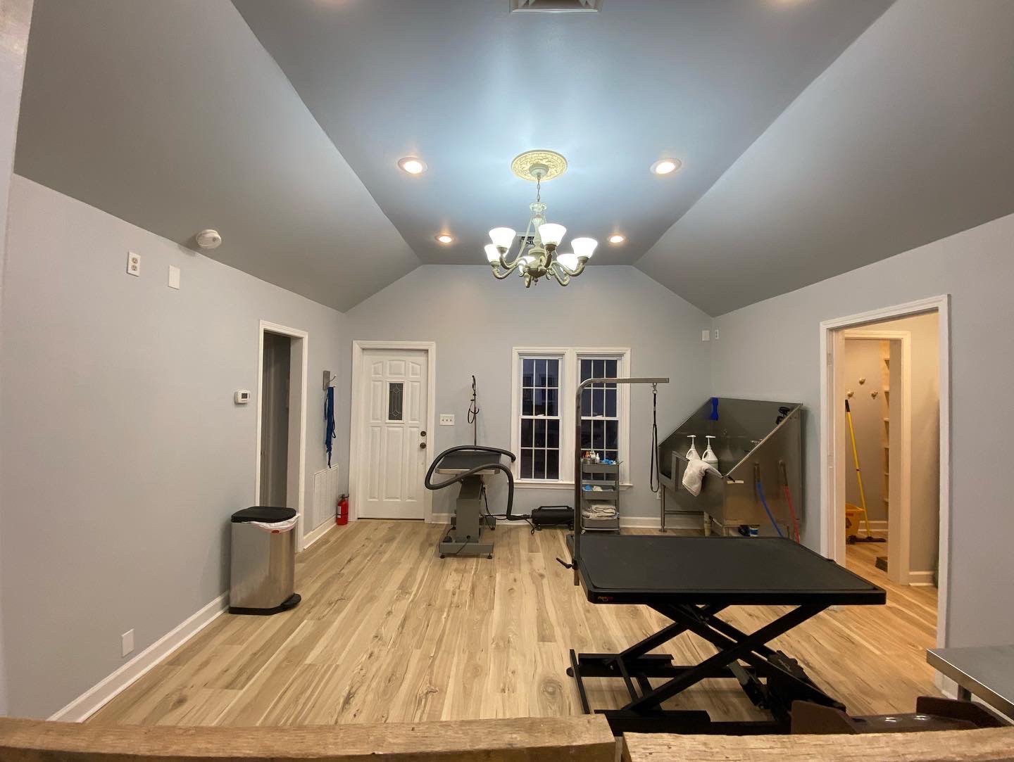 Salon at Pampered Paws Animal Hospital.